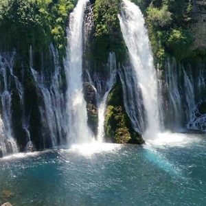 Meet your Posher, Patti